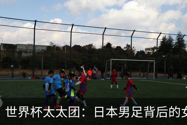 世界杯太太团：日本男足背后的女人，上田绮世、久保健英、田中碧最幸福